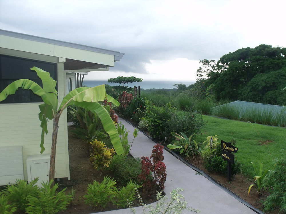 Eden Tica Lodge Uvita Exterior foto